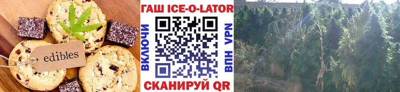 Купить закладки  Николаевск  Еда ТГК конопля 