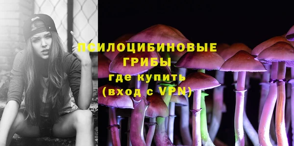 трава Бронницы