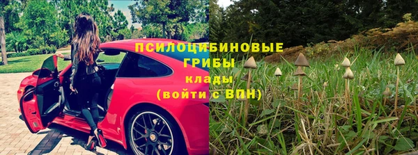 соль курить ск Богородицк
