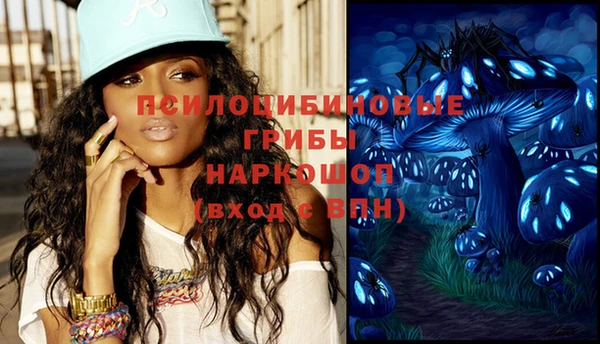 трава Бронницы